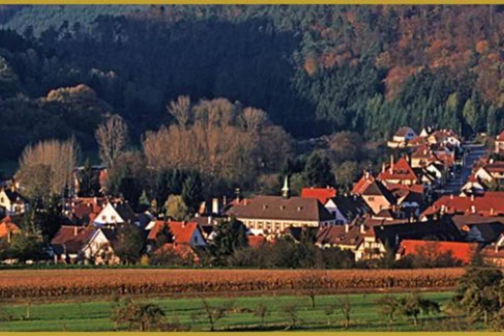 Am Dàntzwaj Lembach Exterior foto